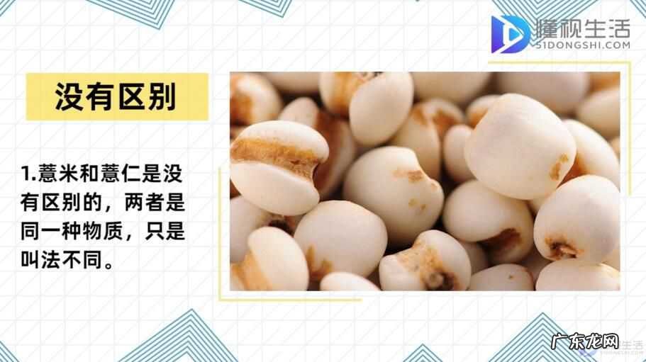 红豆薏米越喝湿气越重? 薏米和薏仁有什么区别