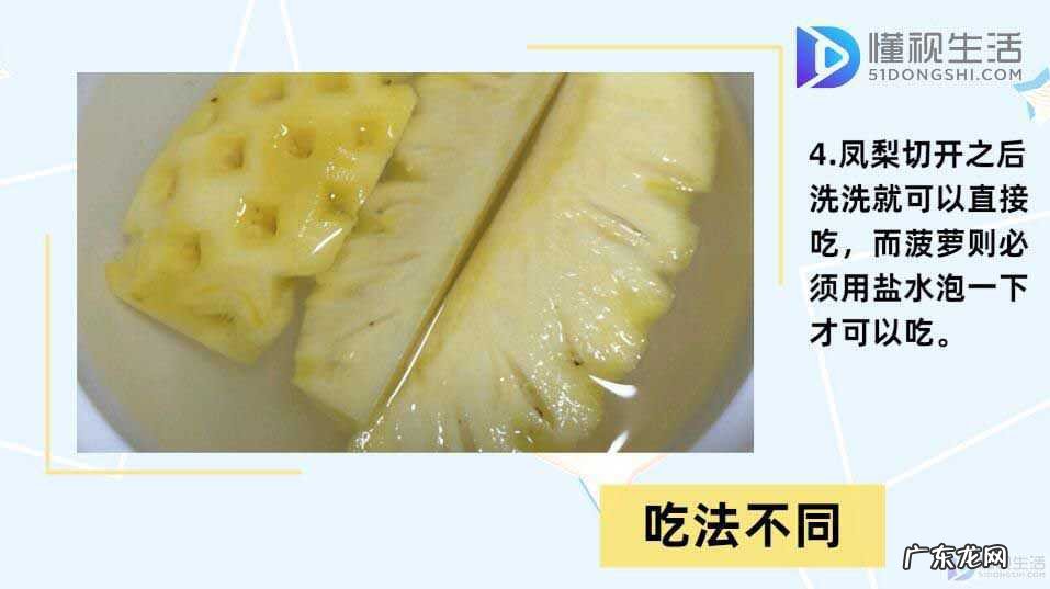 菠萝和凤梨的区别在哪里? 凤梨与菠萝的区别
