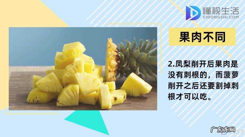 菠萝和凤梨的区别在哪里? 凤梨与菠萝的区别