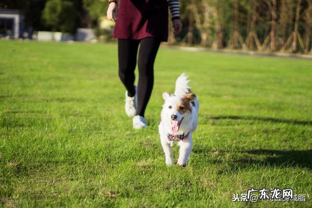 有什么好的减肥方法,作息时间表,一日三餐表?