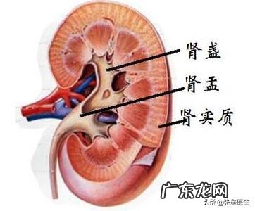 尿道炎感染是怎样形成的?