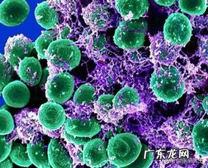 尿道炎感染是怎样形成的?