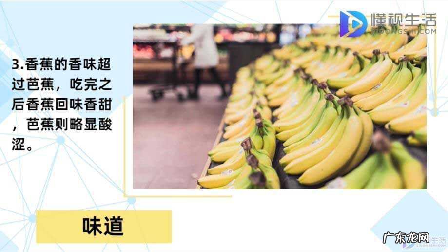 芭蕉的害处? 芭蕉和香蕉的区别