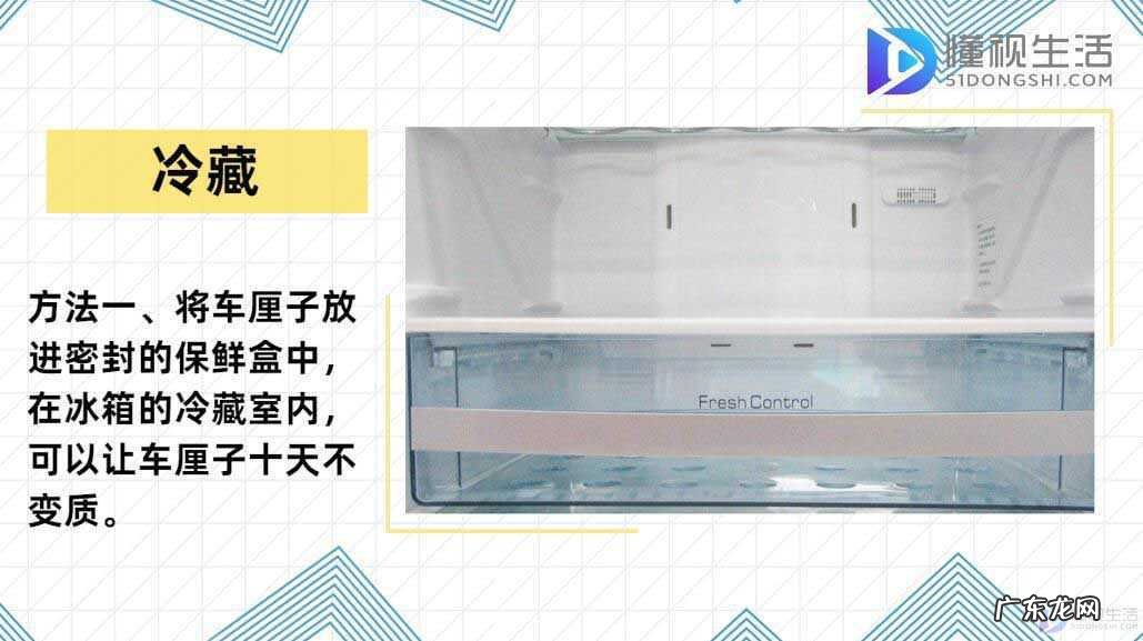 车厘子放保鲜还是冷藏? 车厘子怎么保存才新鲜