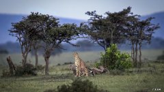 什么时间喝牛奶最不会发胖