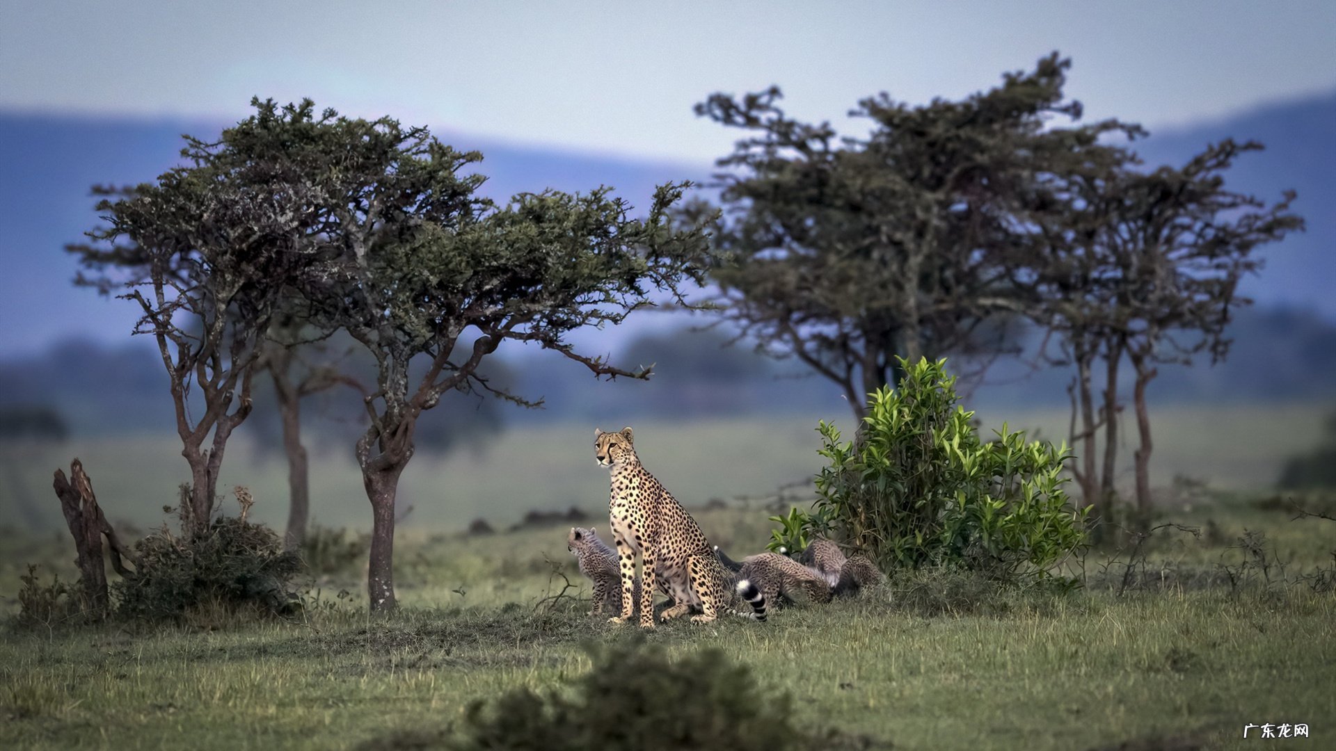 什么时间喝牛奶最不会发胖