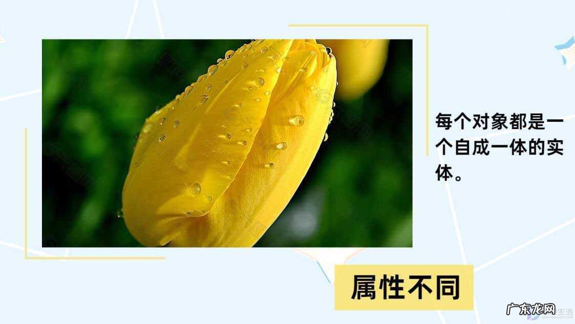 ps普通图片转换矢量图？ 位图和矢量图的区别