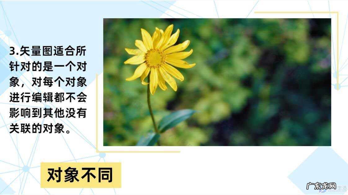 ps普通图片转换矢量图？ 位图和矢量图的区别