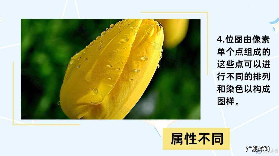 ps普通图片转换矢量图？ 位图和矢量图的区别