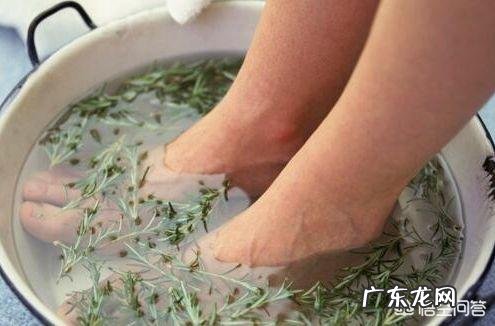 艾草泡脚能zhi疗甲状腺结节吗?