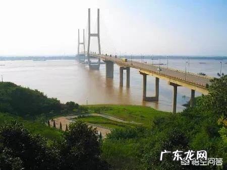 这段时间,为何安徽每天确诊病历都占全国前列?