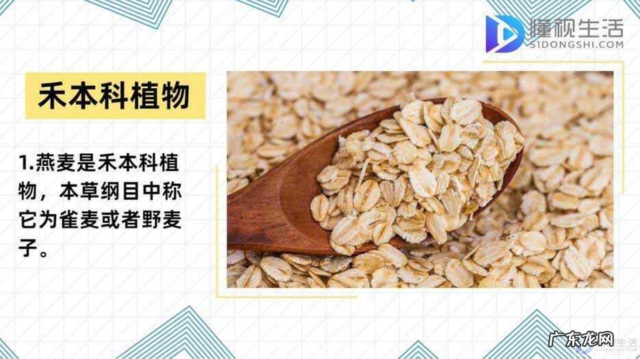 早餐长期吃燕麦的坏处？ 燕麦是什么