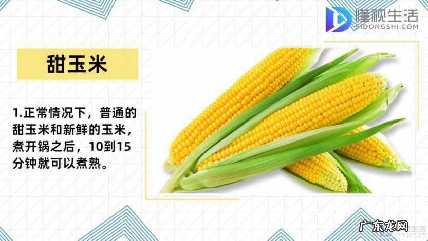 冷水下锅的玉米煮多久? 玉米煮多久就熟了