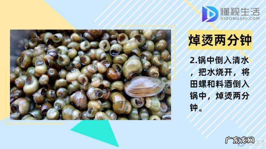 炒田螺的配料和做法视频？ 田螺的做法