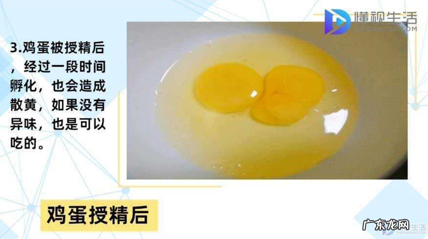蛋一打开蛋黄就散了? 鸡蛋散黄还能吃吗