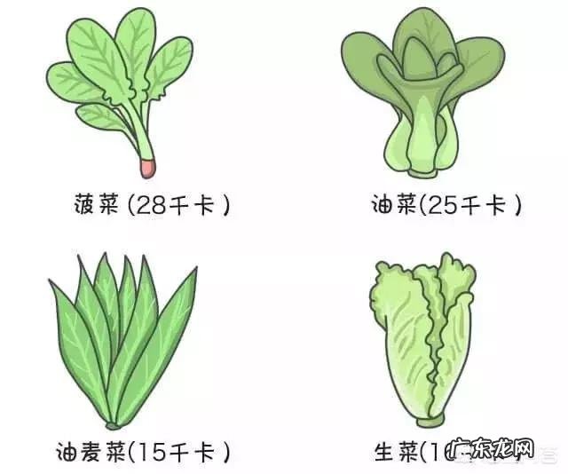 减肥的时候切记不能吃什么？