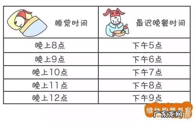 减肥的时候切记不能吃什么？