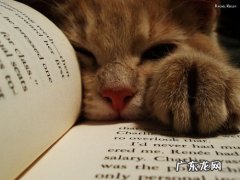 最近很火的修正红豆薏米茶有效果吗？