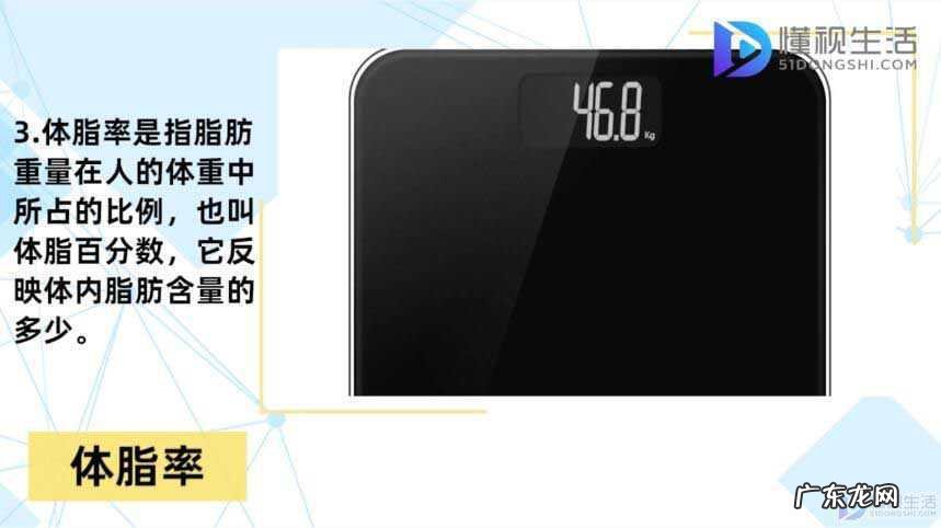 体脂率怎么计算最标准? 体脂率怎么计算