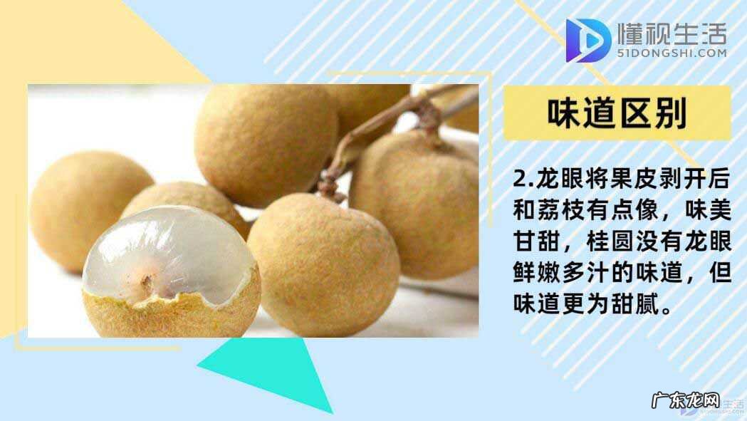 4大壮阳水果？ 龙眼和桂圆的区别