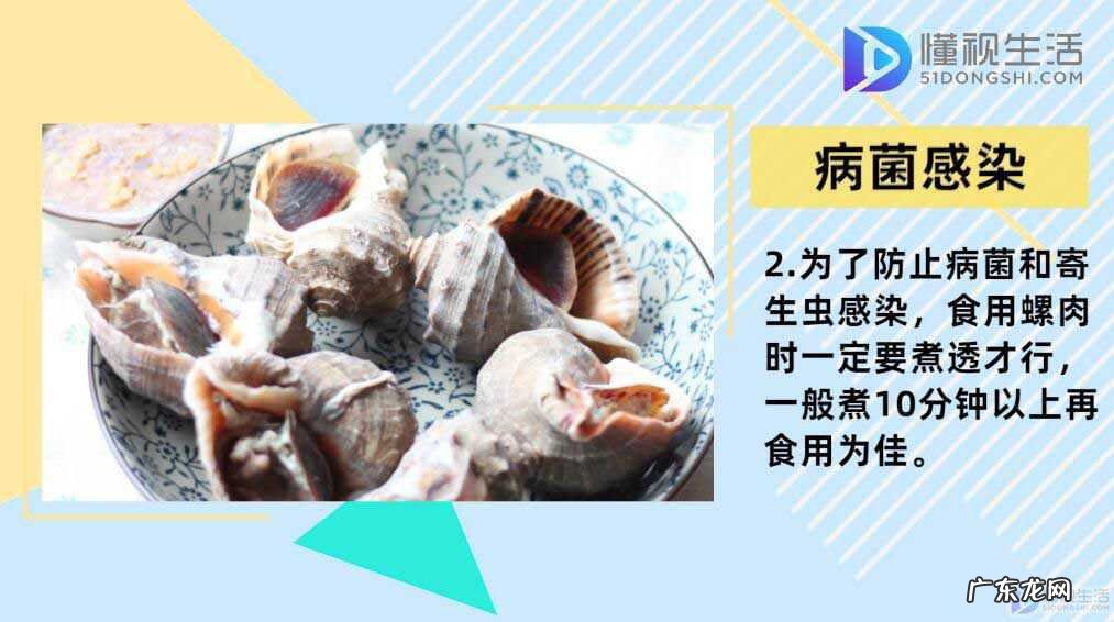 小海螺冷水下锅开锅几分钟好? 海螺煮多久