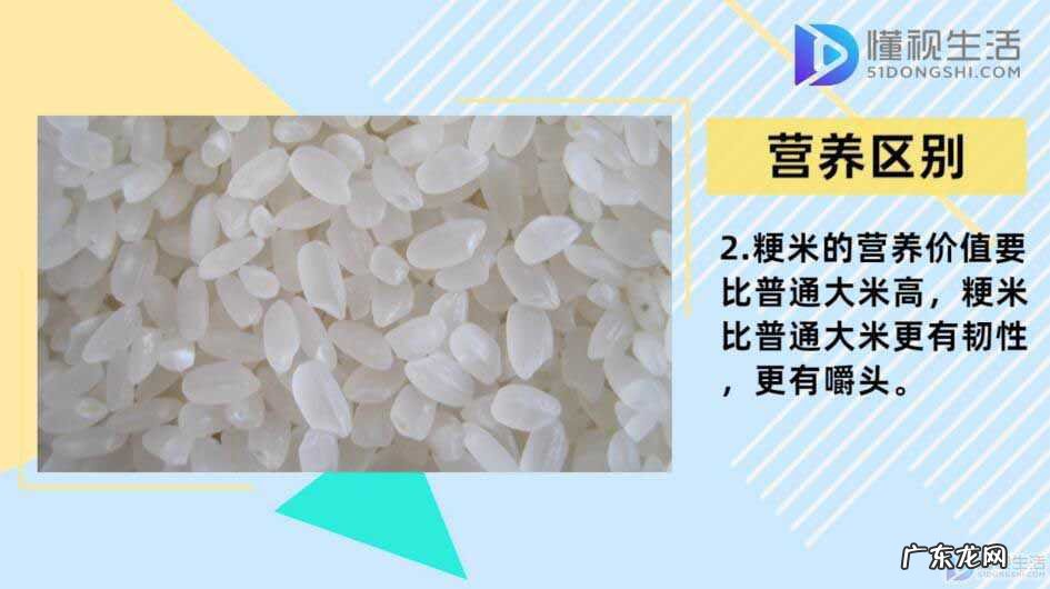大米好还是粳米好? 粳米和大米的区别