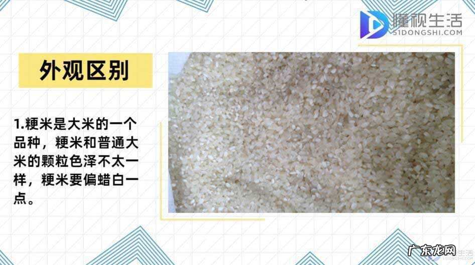 大米好还是粳米好? 粳米和大米的区别
