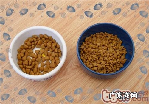优异猫粮的营养成分剖析
