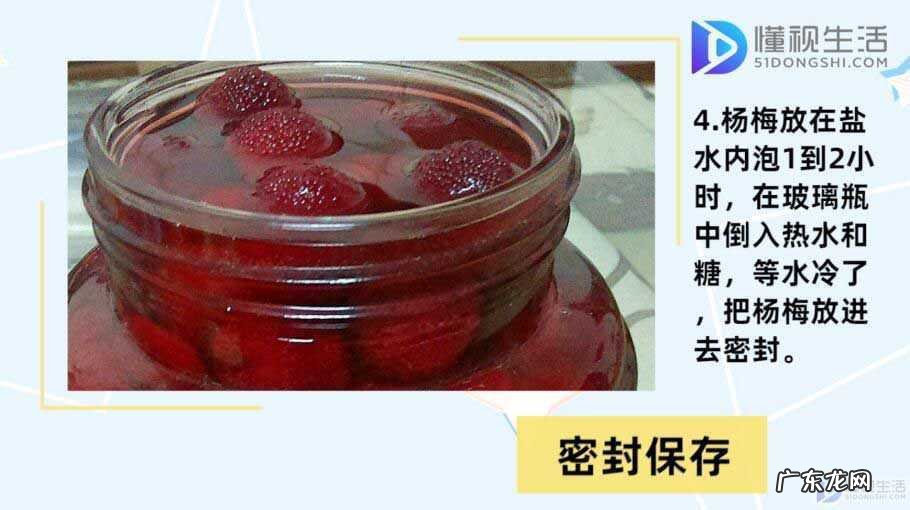 新鲜梅子怎么保存? 杨梅怎么保存