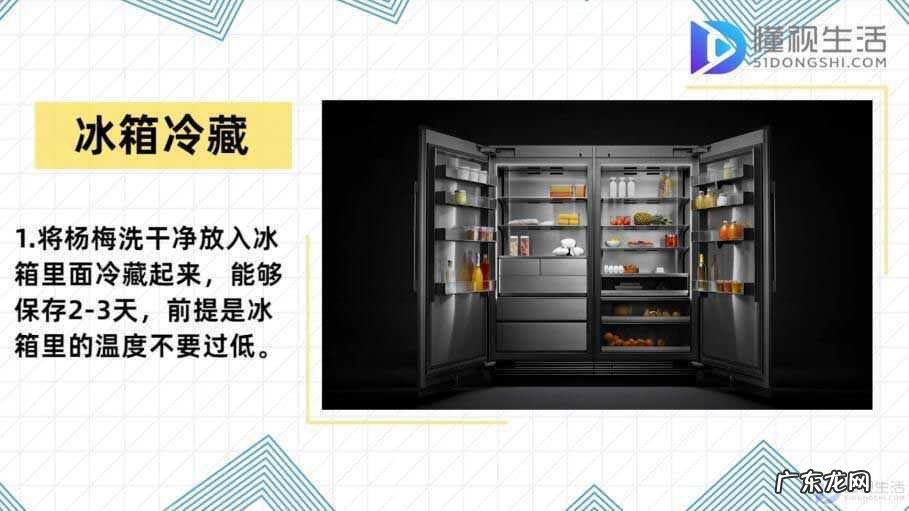 新鲜梅子怎么保存? 杨梅怎么保存