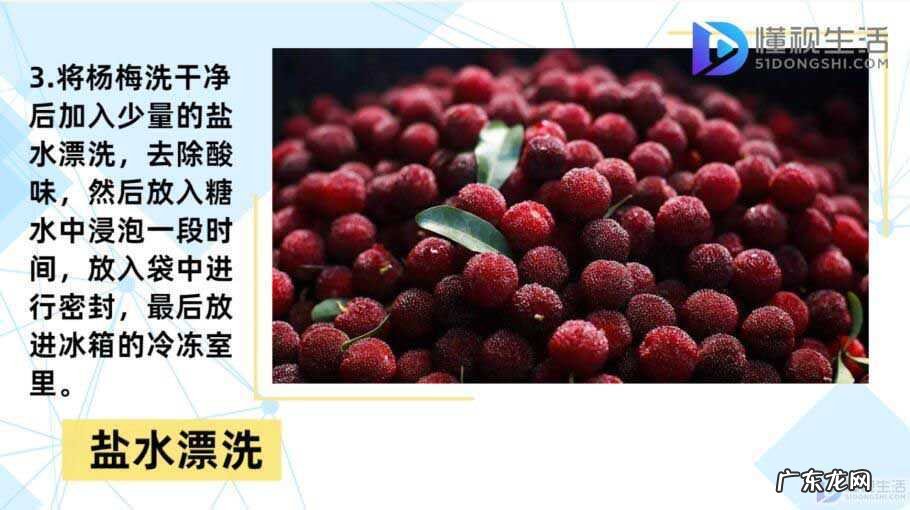 新鲜梅子怎么保存? 杨梅怎么保存