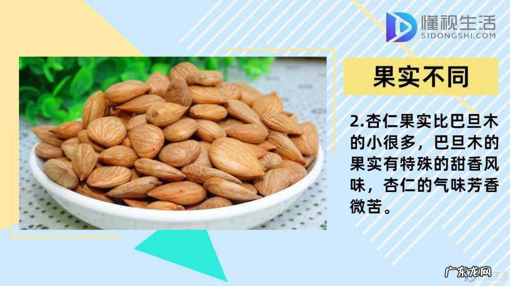 巴旦木的副作用与禁忌? 巴旦木和杏仁的区别