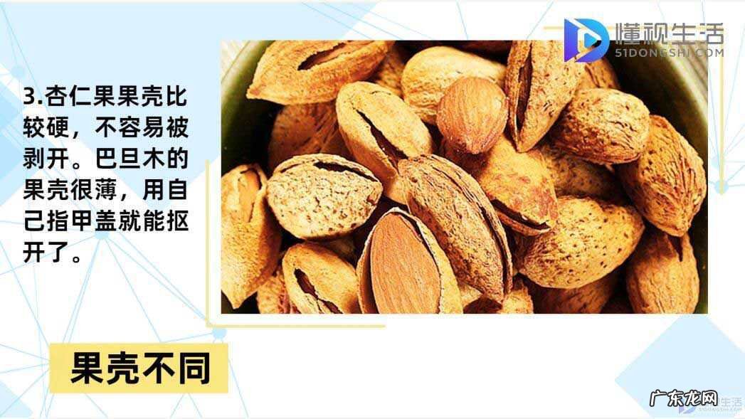 巴旦木的副作用与禁忌? 巴旦木和杏仁的区别