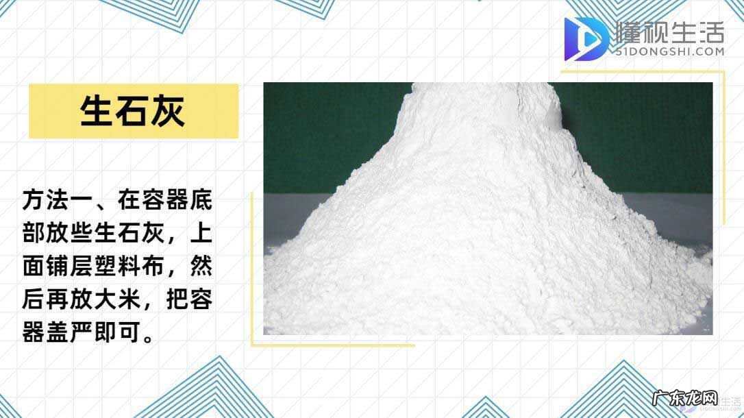 大米生虫子处理小诀窍? 大米怎么保存不生虫子