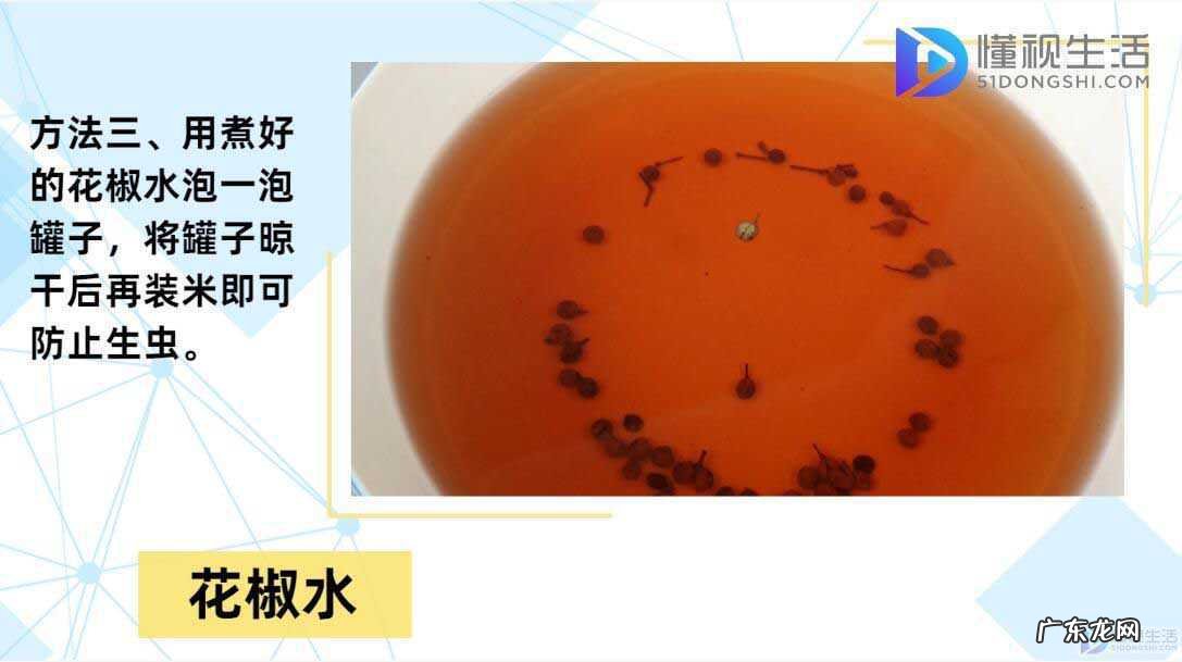 大米生虫子处理小诀窍? 大米怎么保存不生虫子