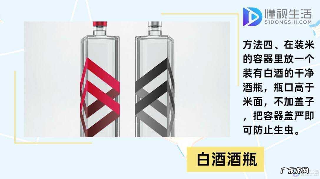 大米生虫子处理小诀窍? 大米怎么保存不生虫子