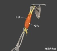 女生有哪些谎言是男生所不知道的