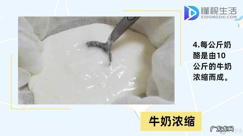 拉丝的是奶酪还是芝士？ 奶酪和芝士的区别