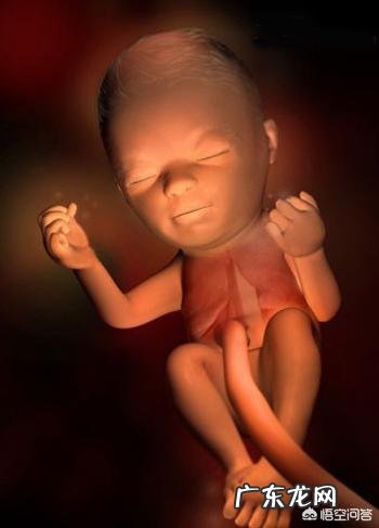 为什么怀孕后很容易犯困?