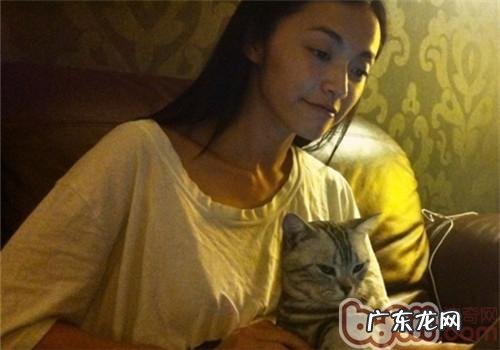 怀孕妇女和宠物猫怎么共处