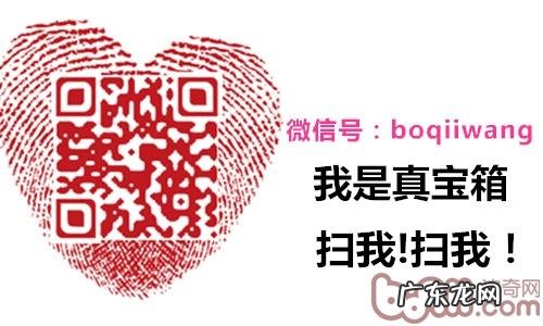 新旧宠物猫共处应留意四点