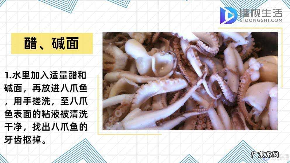 辣炒八爪鱼的做法? 八爪鱼怎么清洗