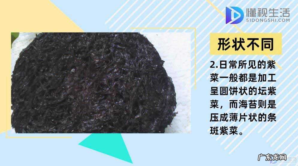 为什么紫菜便宜海苔贵? 海苔和紫菜的区别