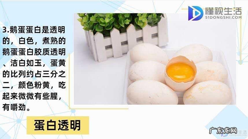 孕妇吃鹅蛋的最佳时间是什么时候？ 鹅蛋煮多久能煮熟