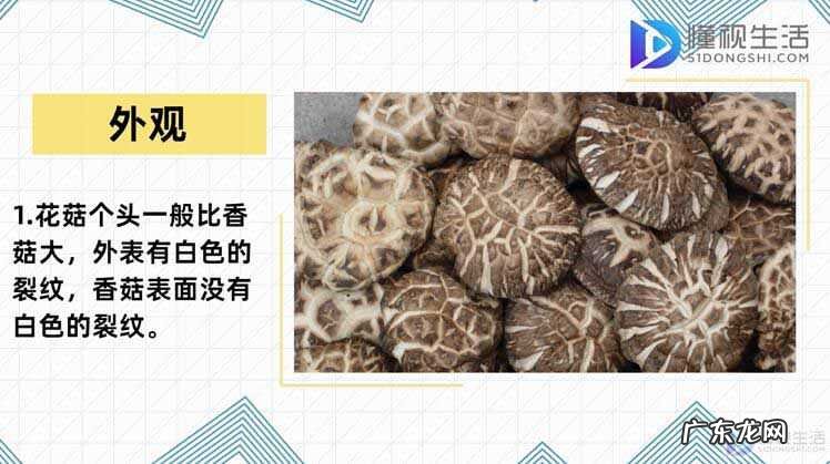 花菇跟香菇炖汤哪个香？ 花菇和香菇的区别