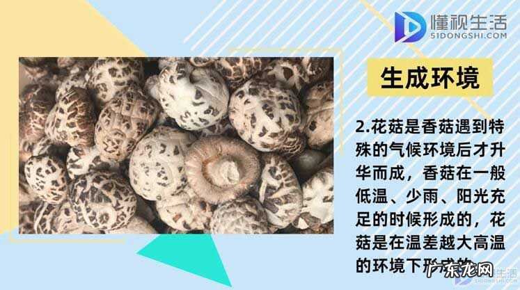 花菇跟香菇炖汤哪个香？ 花菇和香菇的区别