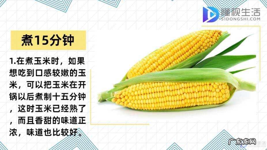 玉米一般蒸多久就可以了? 冷水下锅的玉米煮多久