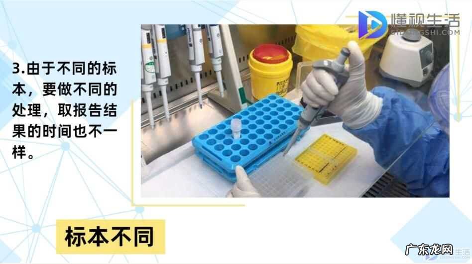 检测一次需要多少钱? 核酸检测多久出结果