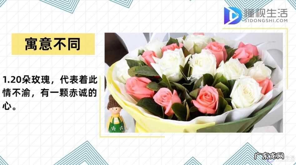 玫瑰送20朵的含义? 20朵玫瑰代表什么