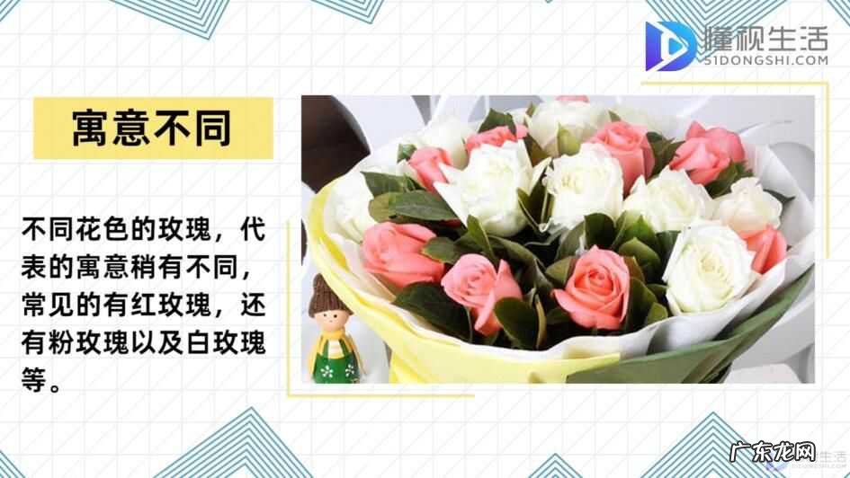 玫瑰送20朵的含义? 20朵玫瑰代表什么